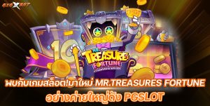 mr treasure fortune